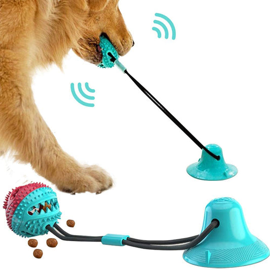 Suction Cup Dog Toy: Interactive and Fun